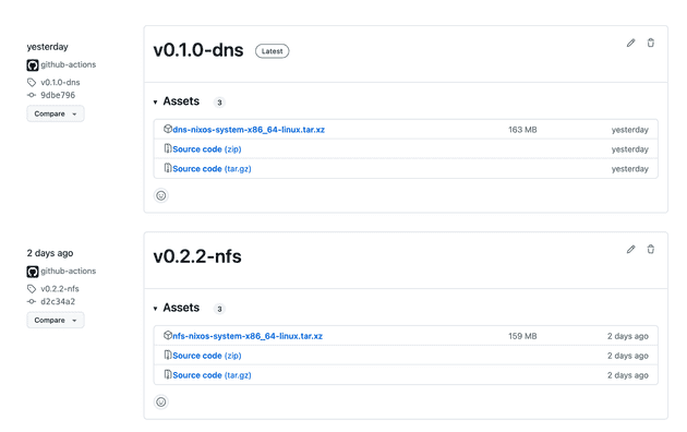 GitHub repository releases page showcasing different NixOS container templates
